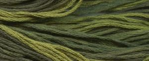 mossy